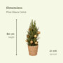 Kerstboom 80 cm inclusief gouden versiering